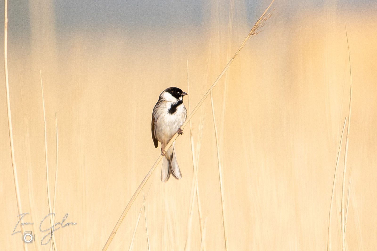 14 april 2022 094443  5D46054